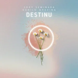 Destinu — copertina