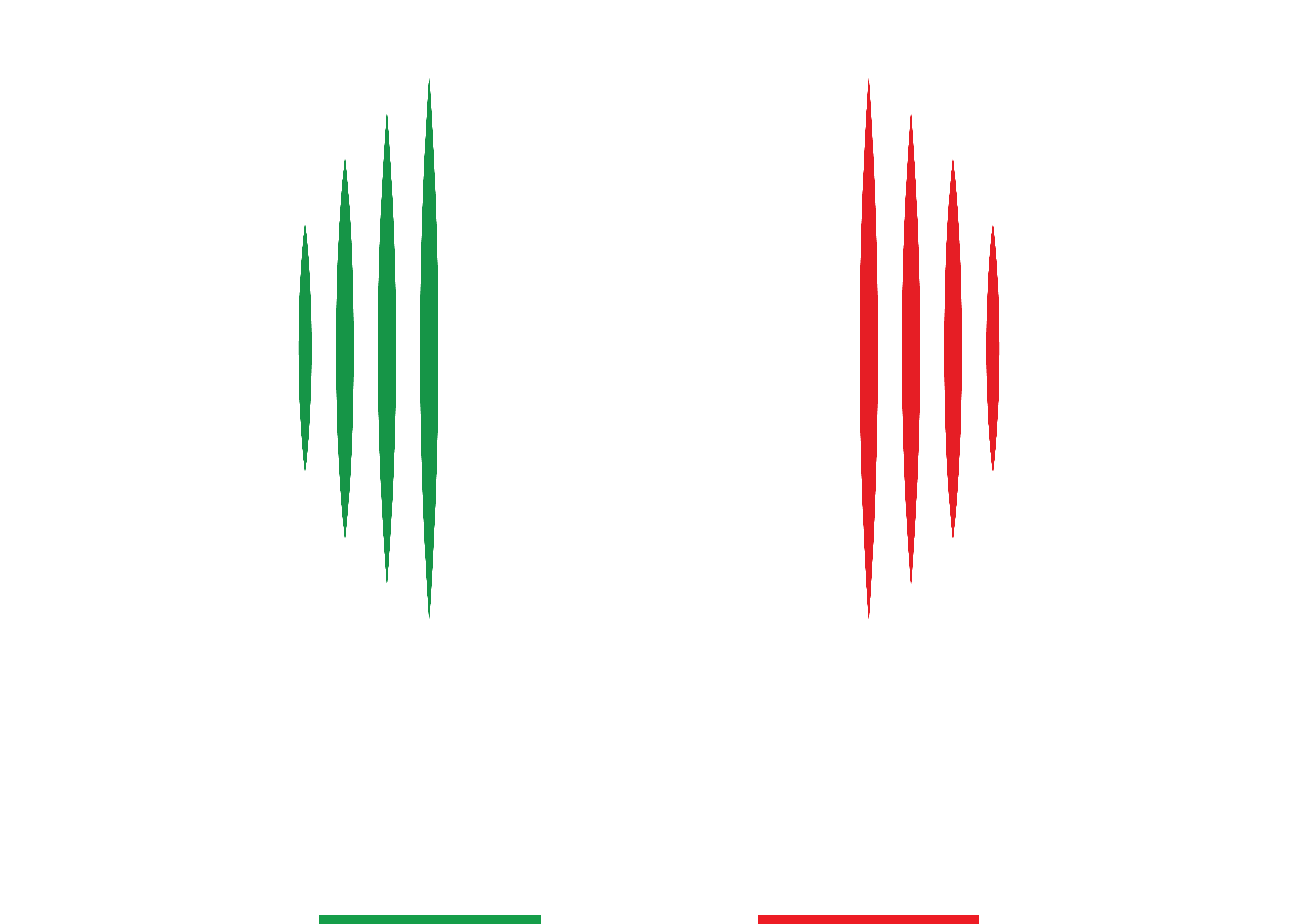 Stasera event logo