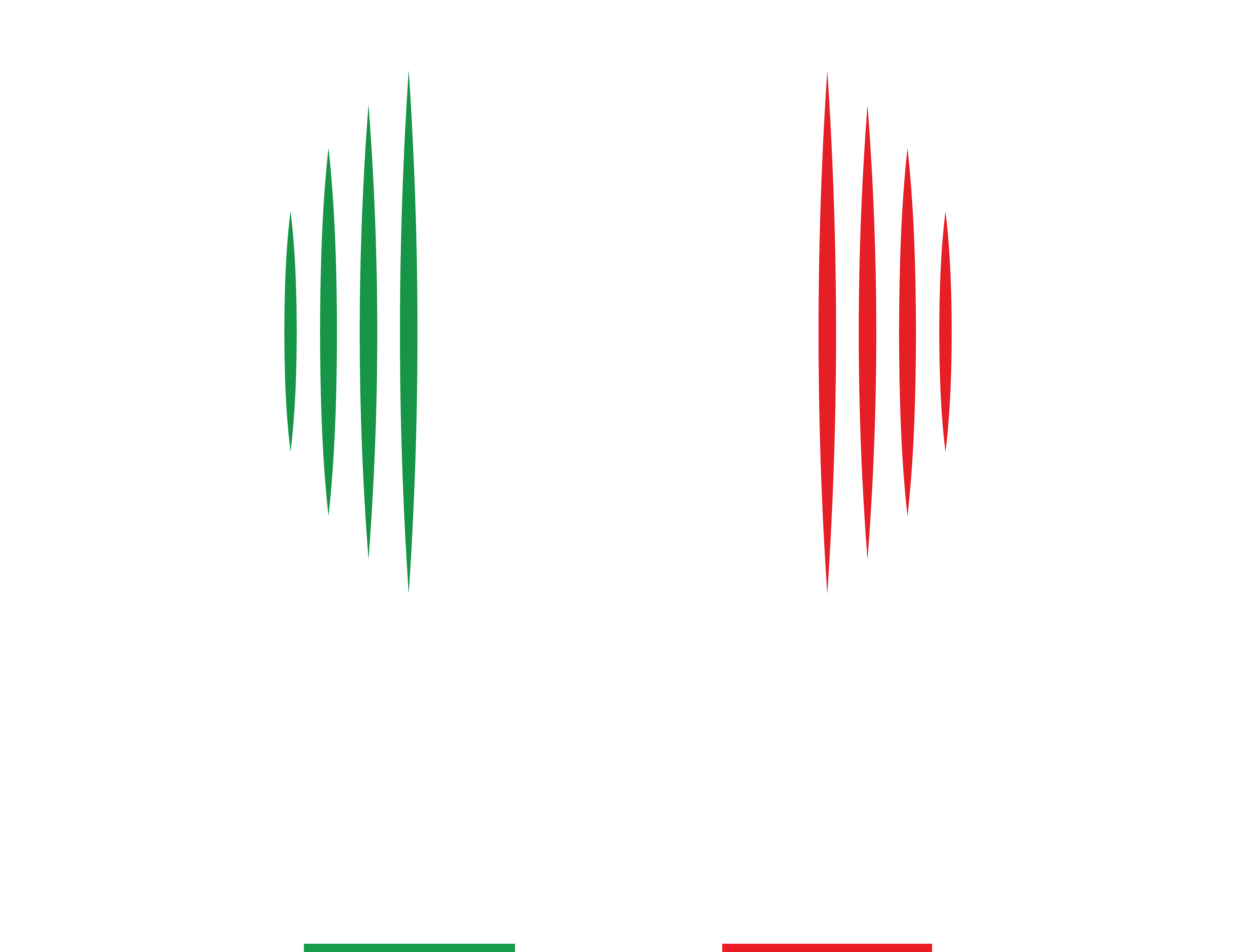 Stasera Records logo